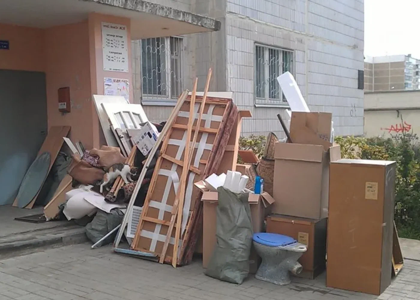 Профессиональный вывоз мусора из квартиры в Железнодорожном в октябре