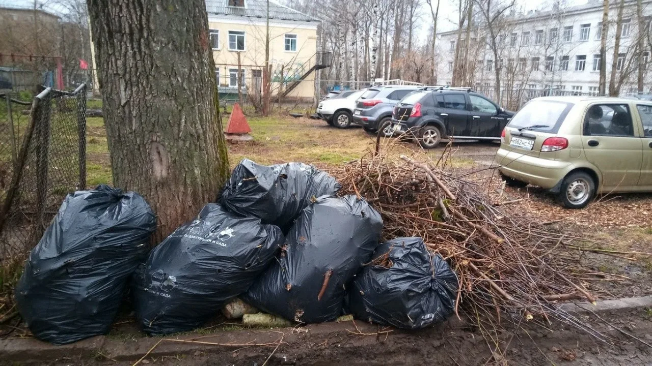 Вывоз мусора после субботника в Железнодорожном от ПроМусор – уборка и утилизация отходов от 2410 руб