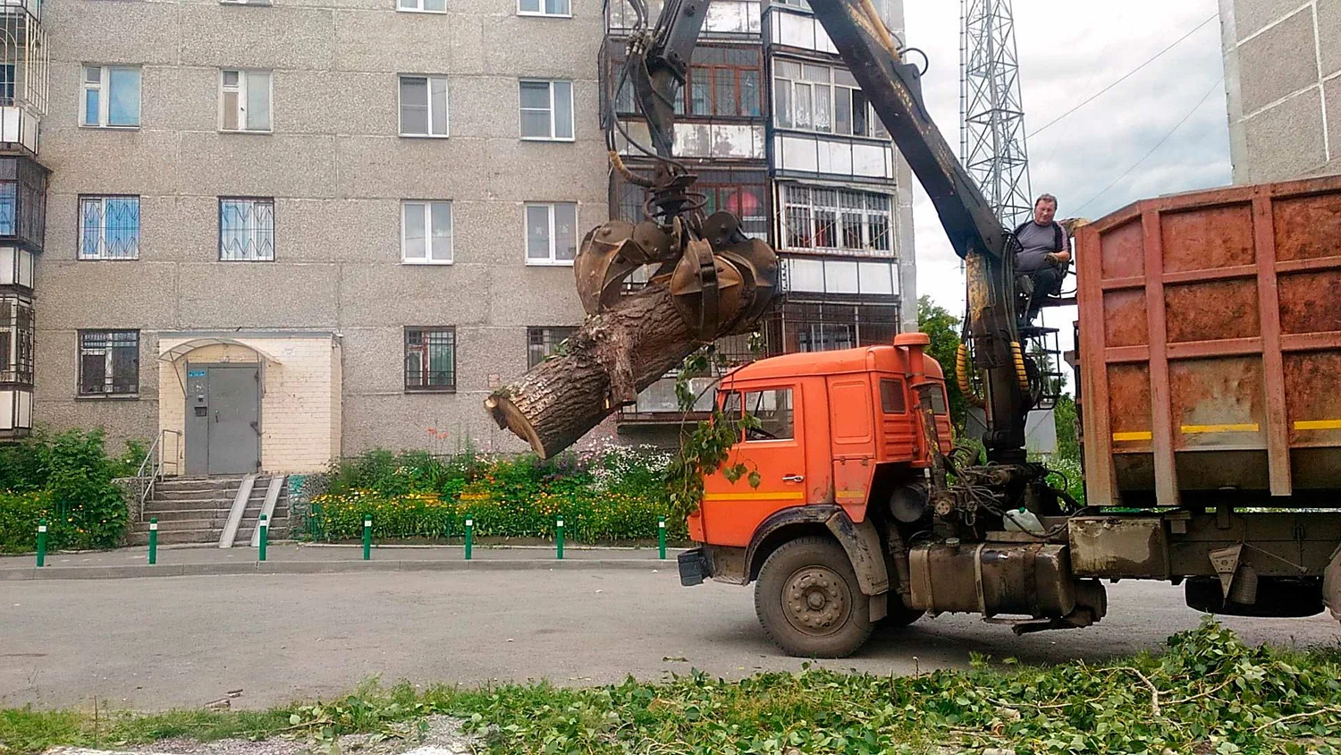 Вывоз спиленных веток и деревьев в Железнодорожном от ПроМусор: порубочные остатки, утилизация, цена от 2974 руб