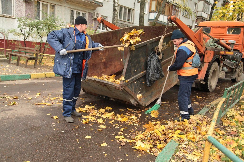 Вывоз опавшей листвы и растительного мусора в Железнодорожном от ПроМусор – цена от 4614 руб., быстрая уборка и утилизация